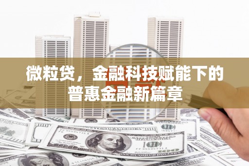梨树县微粒贷，金融科技赋能下的普惠金融新篇章