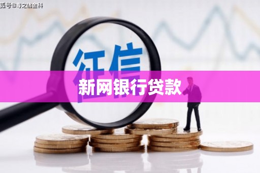 梨树县新网银行贷款