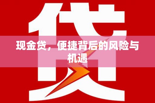 梨树县现金贷，便捷背后的风险与机遇