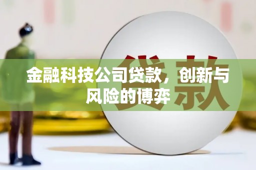 梨树县金融科技公司贷款，创新与风险的博弈