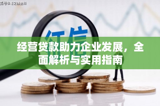 梨树县经营贷款助力企业发展，全面解析与实用指南