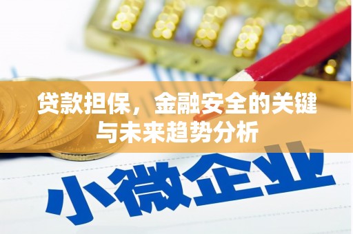 梨树县贷款担保，金融安全的关键与未来趋势分析
