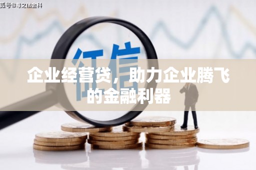 梨树县企业经营贷，助力企业腾飞的金融利器