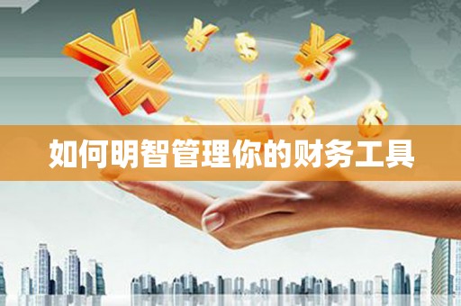 梨树县如何明智管理你的财务工具