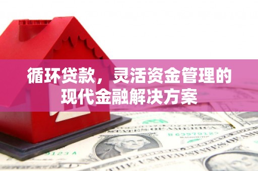 梨树县循环贷款，灵活资金管理的现代金融解决方案