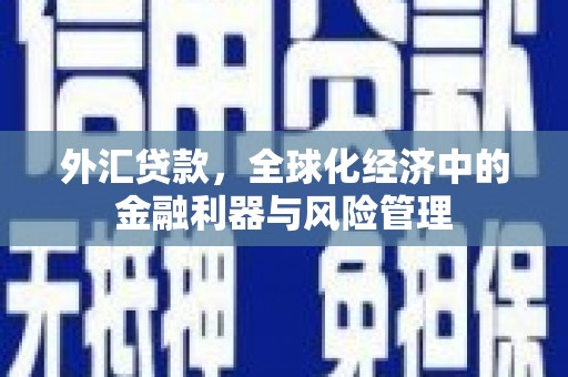 梨树县外汇贷款，全球化经济中的金融利器与风险管理