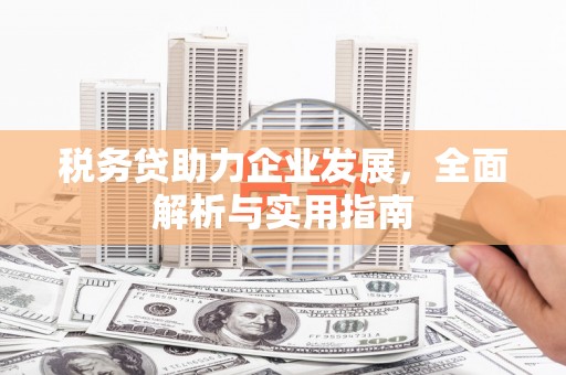 梨树县税务贷助力企业发展，全面解析与实用指南