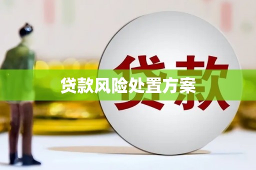 梨树县贷款风险处置方案
