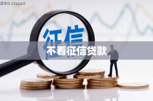 梨树县不看征信贷款