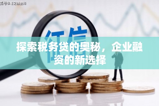 梨树县探索税务贷的奥秘，企业融资的新选择