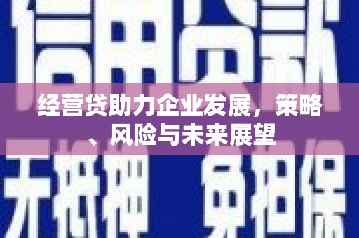 梨树县经营贷助力企业发展，策略、风险与未来展望