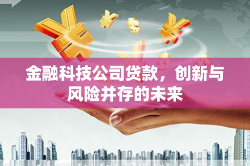 梨树县金融科技公司贷款，创新与风险并存的未来