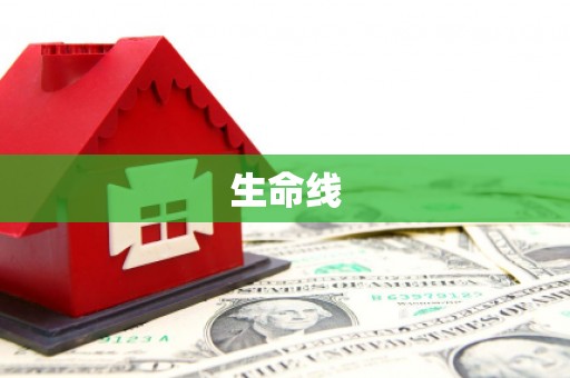 梨树县生命线