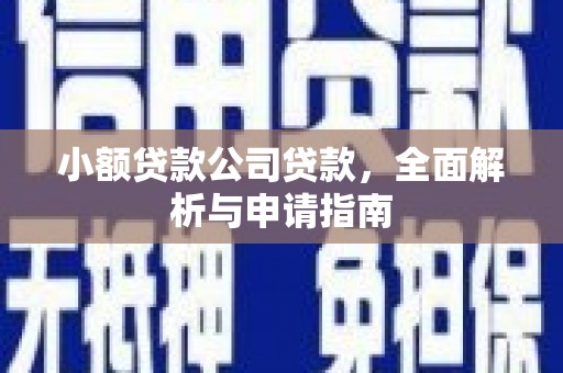 梨树县小额贷款公司贷款，全面解析与申请指南