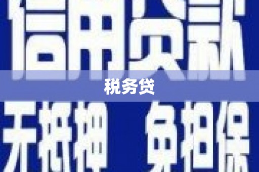 梨树县税务贷