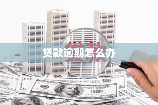 梨树县贷款逾期怎么办