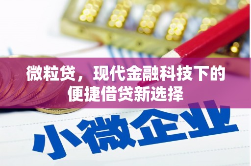 梨树县微粒贷，现代金融科技下的便捷借贷新选择