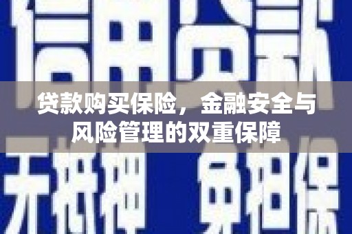 梨树县贷款购买保险，金融安全与风险管理的双重保障
