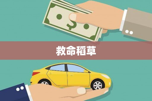 梨树县救命稻草
