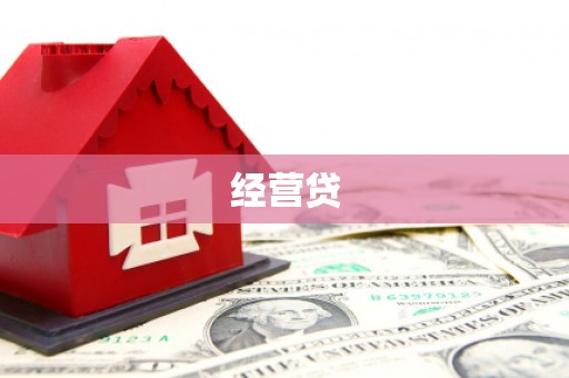 梨树县经营贷