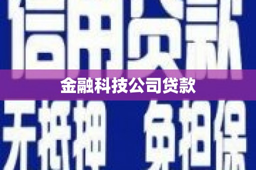 梨树县金融科技公司贷款