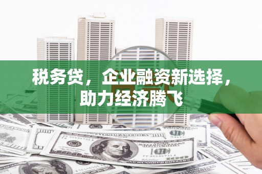 梨树县税务贷，企业融资新选择，助力经济腾飞
