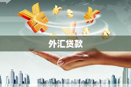 梨树县外汇贷款