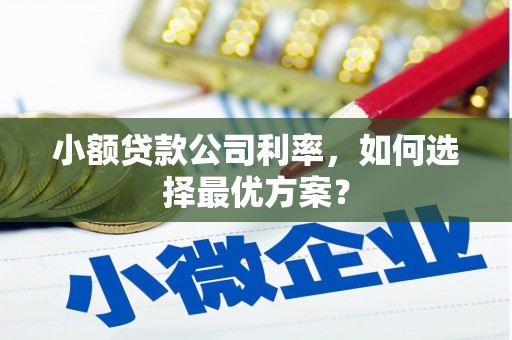 梨树县小额贷款公司利率，如何选择最优方案？