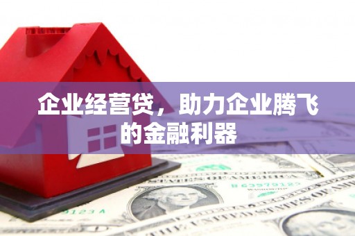 梨树县企业经营贷，助力企业腾飞的金融利器