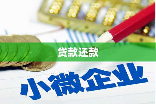 梨树县贷款还款