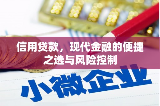 梨树县信用贷款，现代金融的便捷之选与风险控制