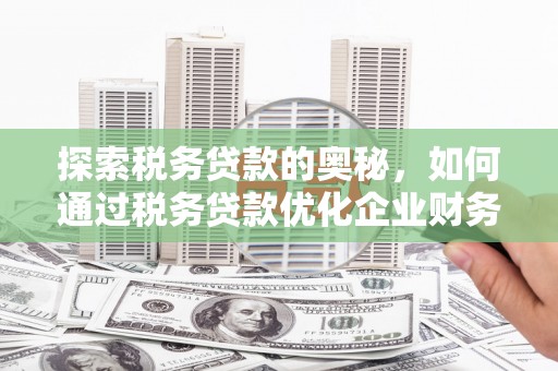 梨树县探索税务贷款的奥秘，如何通过税务贷款优化企业财务