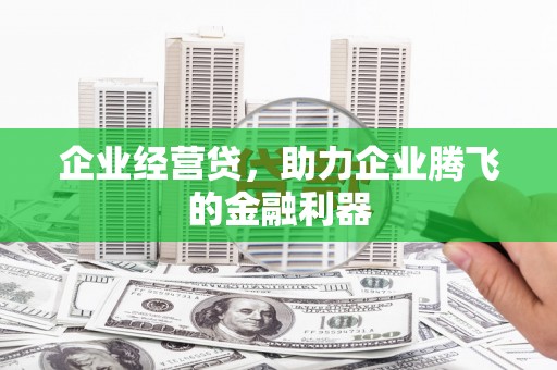 梨树县企业经营贷，助力企业腾飞的金融利器