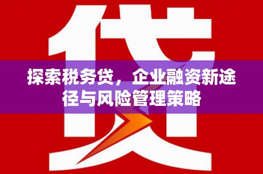 梨树县探索税务贷，企业融资新途径与风险管理策略