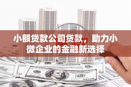 梨树县小额贷款公司贷款，助力小微企业的金融新选择