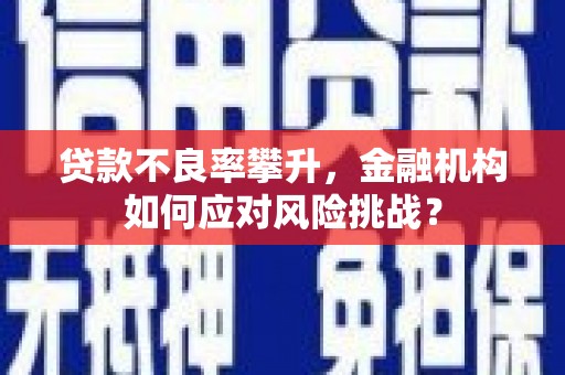 梨树县贷款不良率攀升，金融机构如何应对风险挑战？