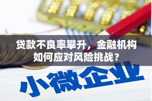 梨树县贷款不良率攀升，金融机构如何应对风险挑战？