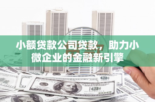 梨树县小额贷款公司贷款，助力小微企业的金融新引擎