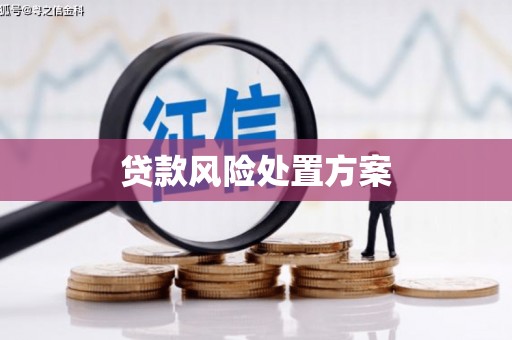 梨树县贷款风险处置方案