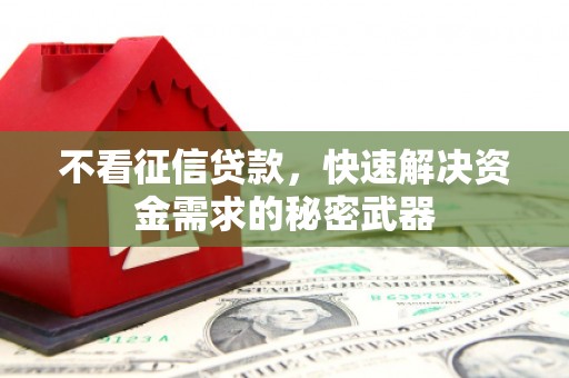 梨树县不看征信贷款，快速解决资金需求的秘密武器