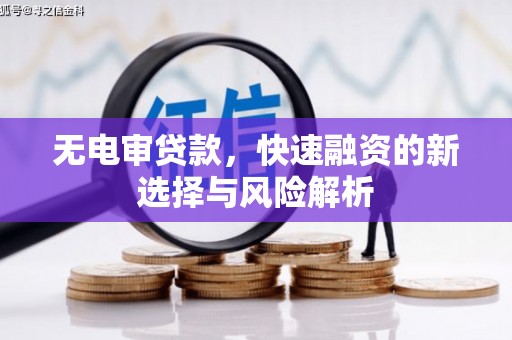 梨树县无电审贷款，快速融资的新选择与风险解析