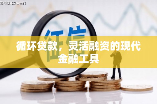 梨树县循环贷款，灵活融资的现代金融工具