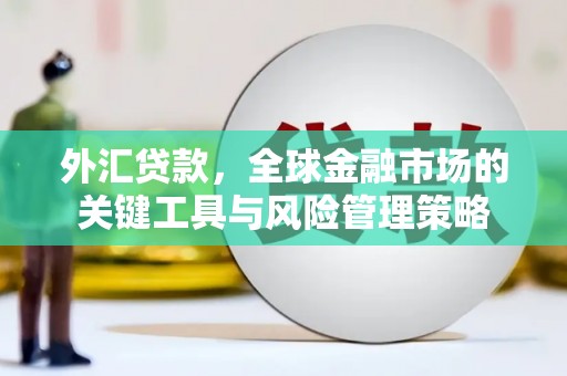 梨树县外汇贷款，全球金融市场的关键工具与风险管理策略