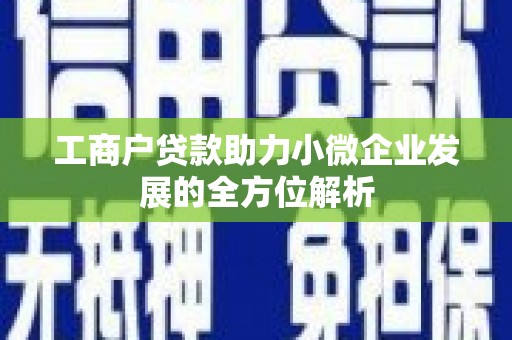 梨树县工商户贷款助力小微企业发展的全方位解析