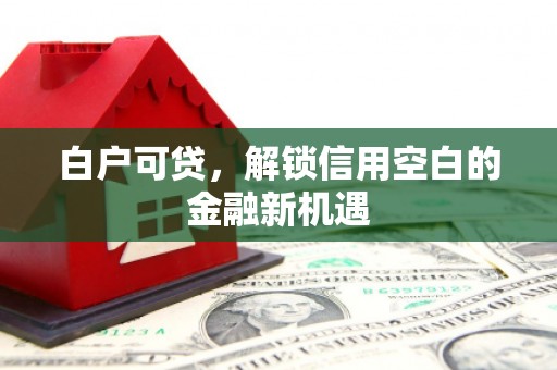 梨树县白户可贷，解锁信用空白的金融新机遇