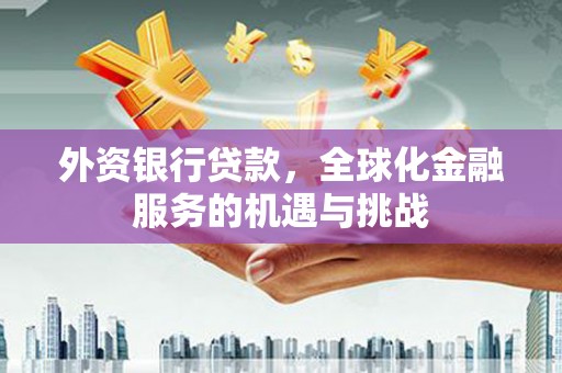 梨树县外资银行贷款，全球化金融服务的机遇与挑战