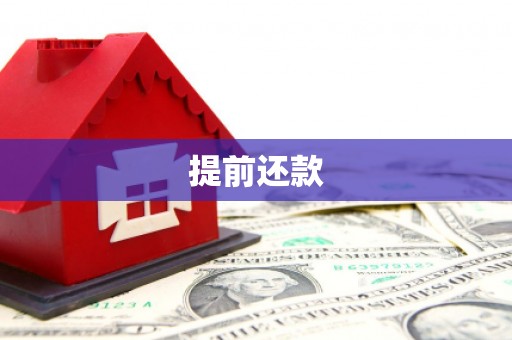 梨树县提前还款