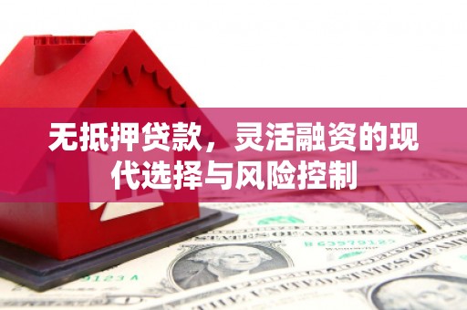 梨树县无抵押贷款，灵活融资的现代选择与风险控制