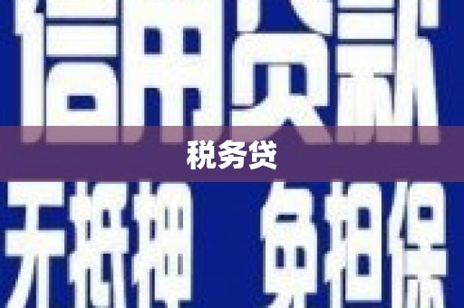 梨树县税务贷