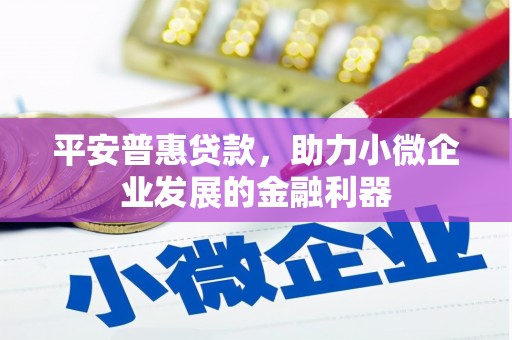 梨树县平安普惠贷款，助力小微企业发展的金融利器